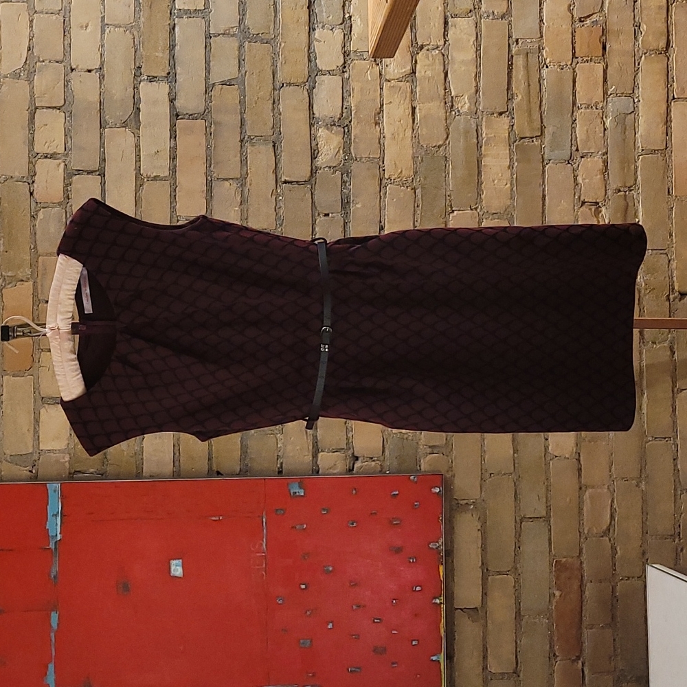 Carolina Williamson dress, size M, burgundy